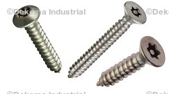Pin in Torx Machine Screws