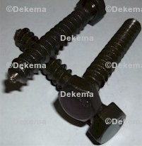 Black Lag Screws