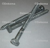 Galvanized Lags Screws