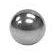 Stainless Steel Balls